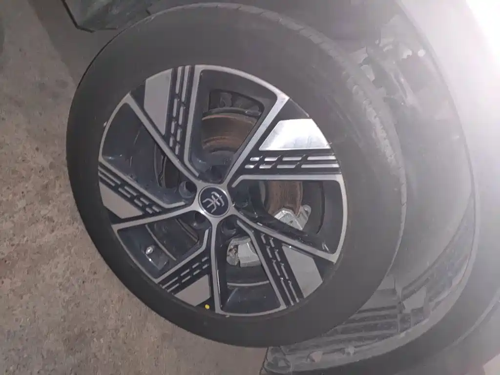 BYD Pro New Energy — миниатюра 25
