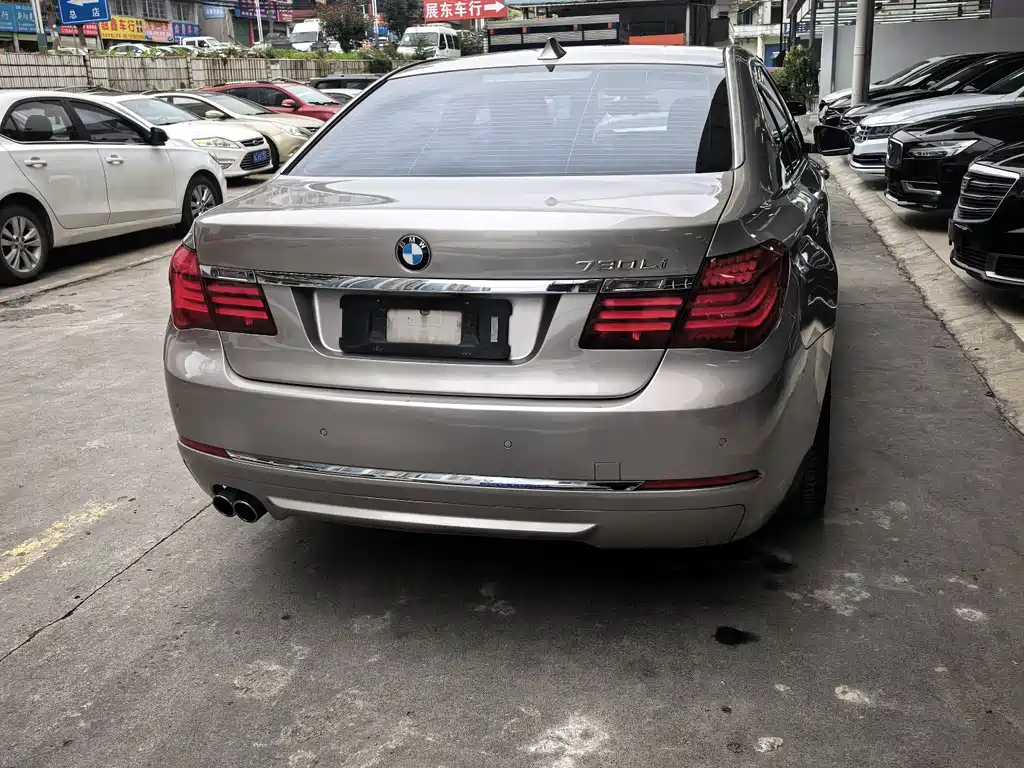 BMW 7 Series 730Li Premium Enjoy Type, фото 5