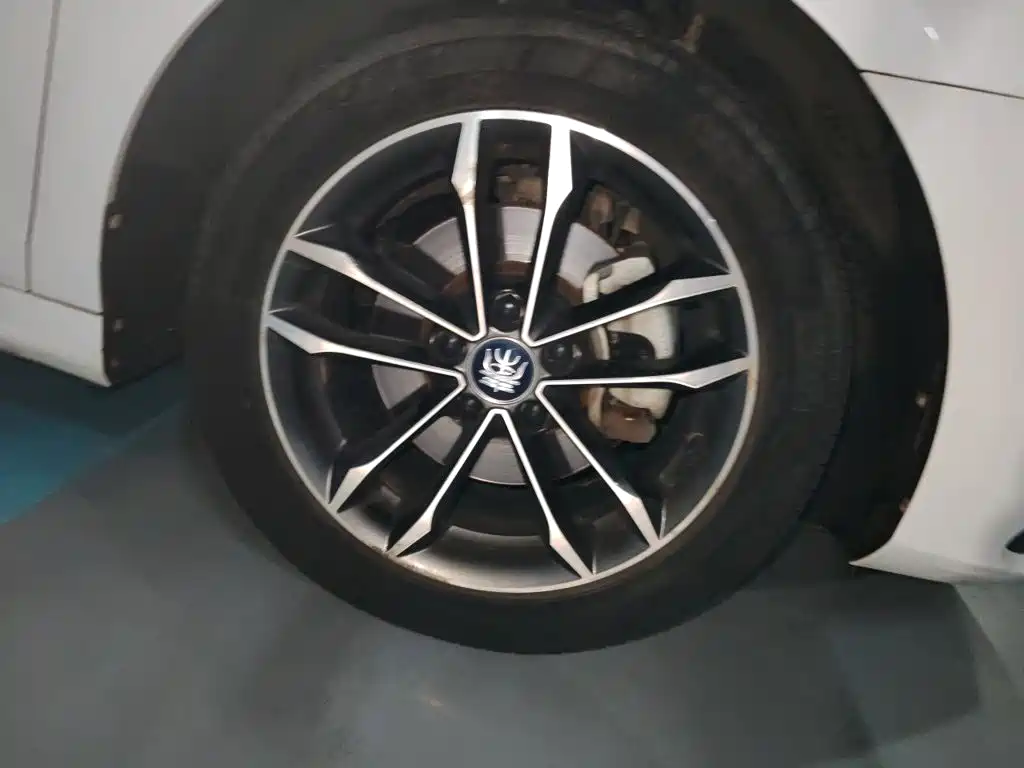 BYD Qin Pro — миниатюра 24