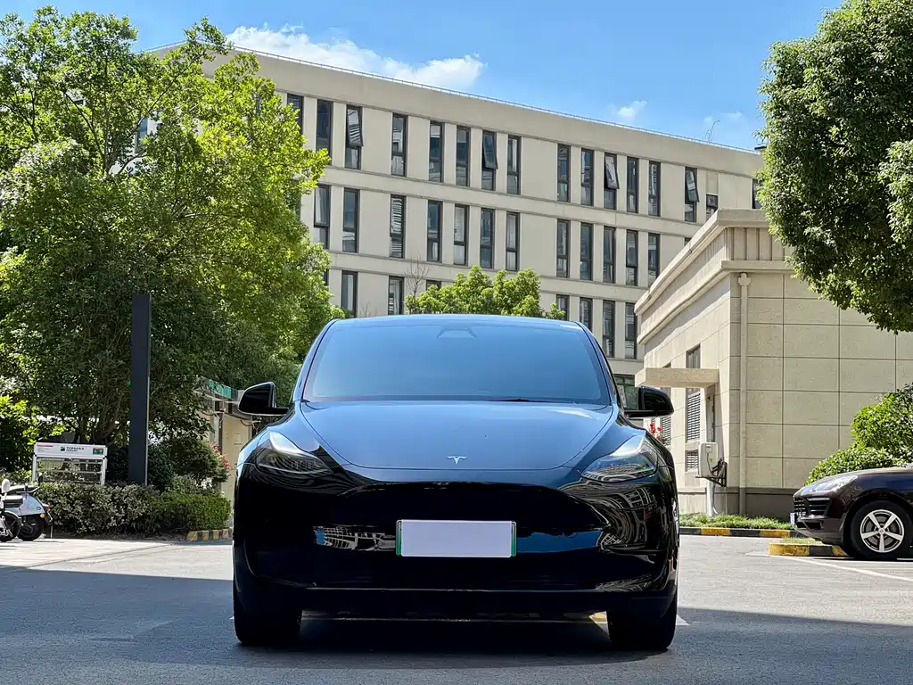 Tesla Model Y — миниатюра 2
