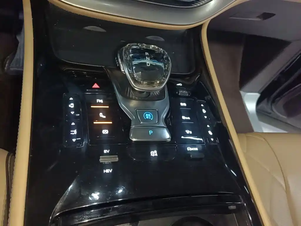 Denza Denza D9 — миниатюра 14