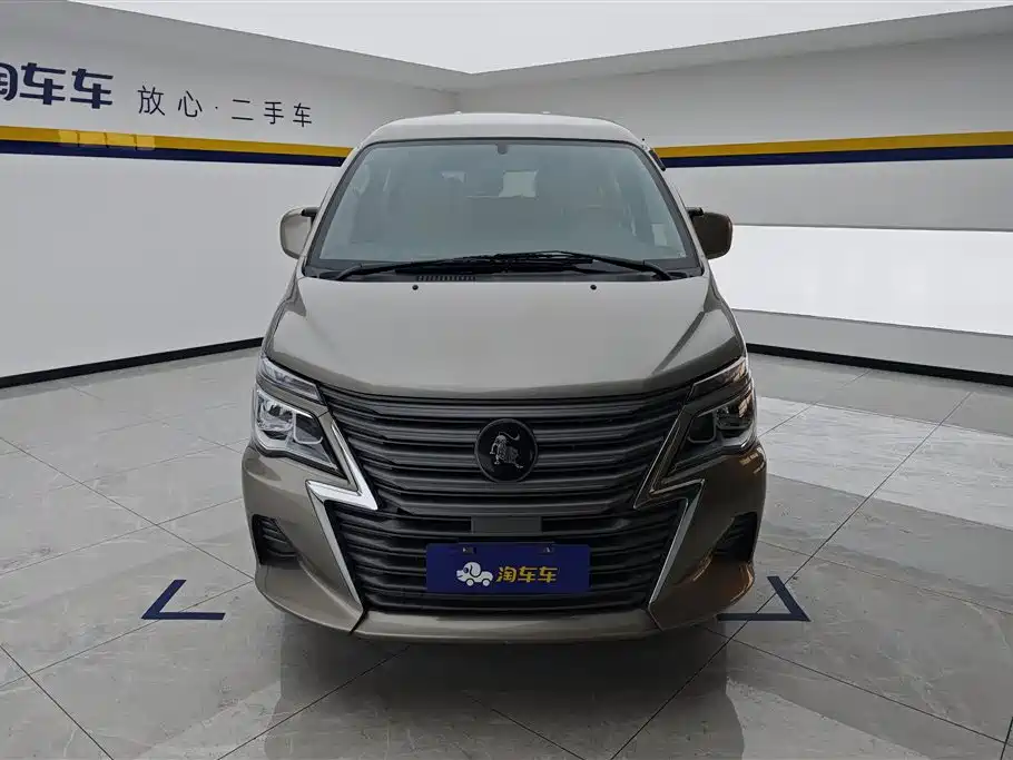 DONGFENG LINGZHI