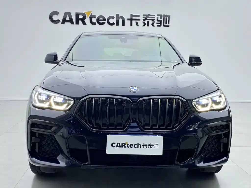 BMW X6 — миниатюра 10
