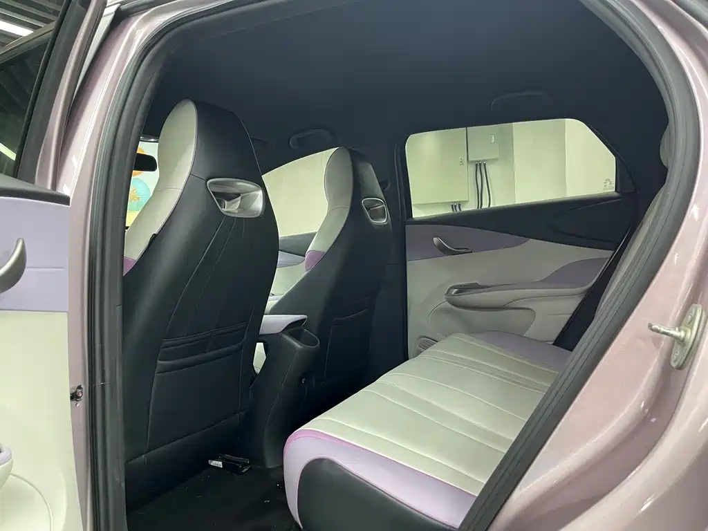 BYD Dolphin — миниатюра 18