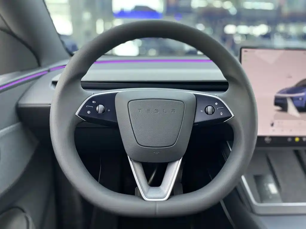 Tesla Model Y — миниатюра 16