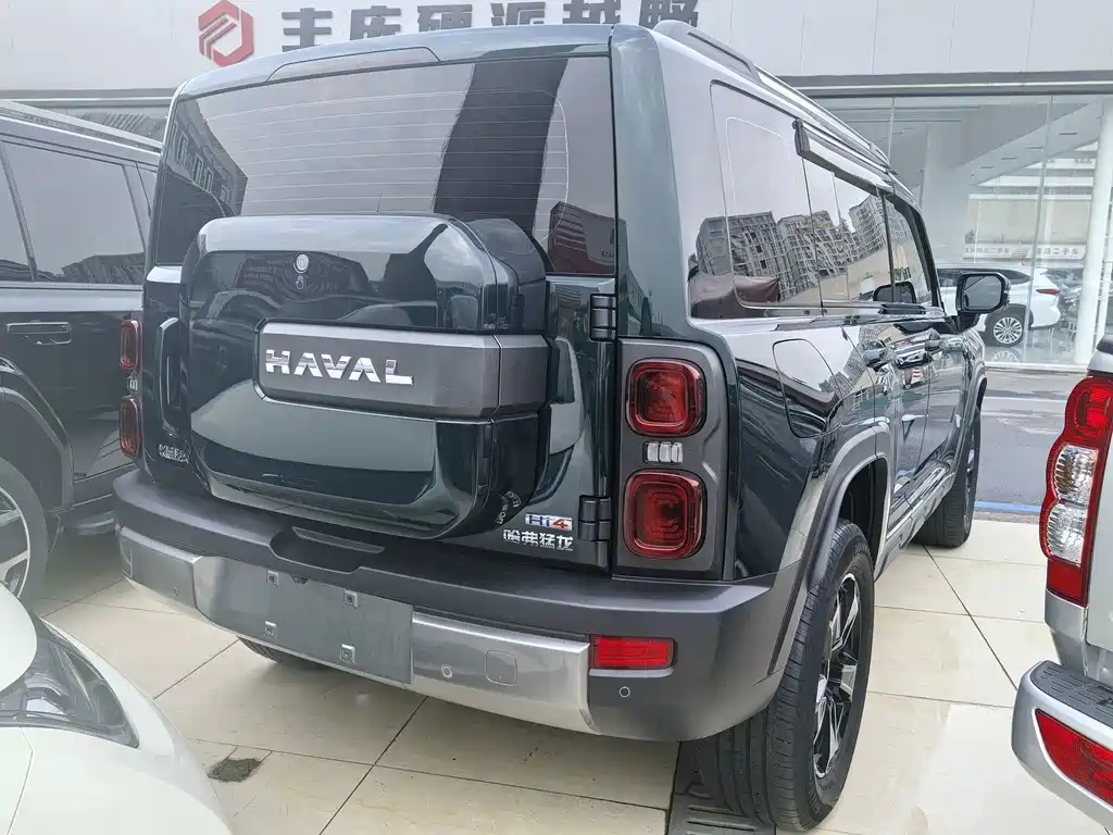 Haval Menglong New Energy — миниатюра 11