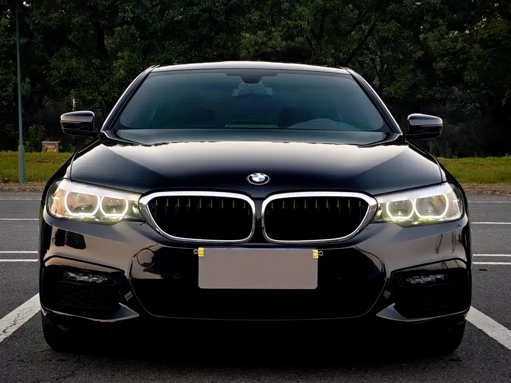 BMW 5 Series — миниатюра 2