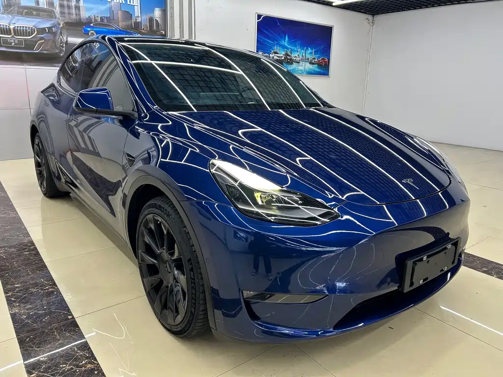 Tesla Model Y — миниатюра 3