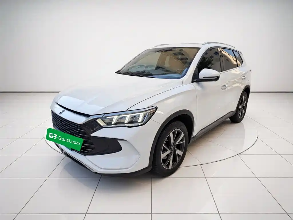 BYD Pro New Energy — миниатюра 2