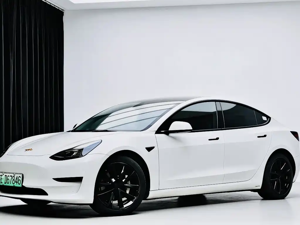 Tesla Model 3 2021