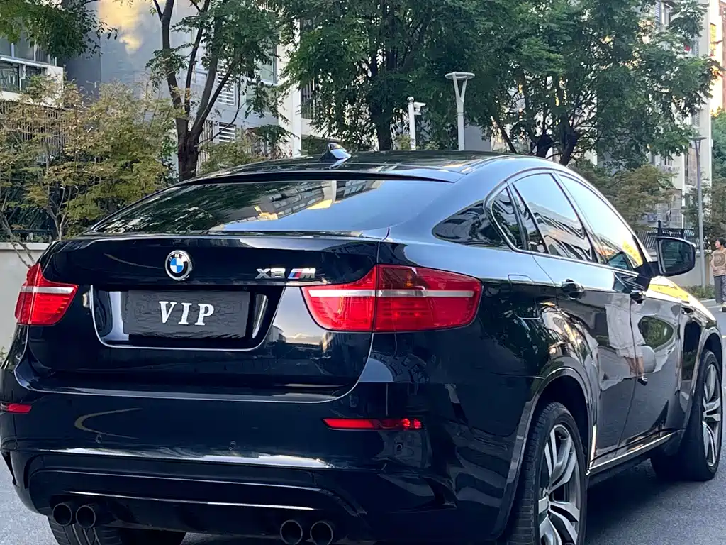 BMW X6 M — миниатюра 11