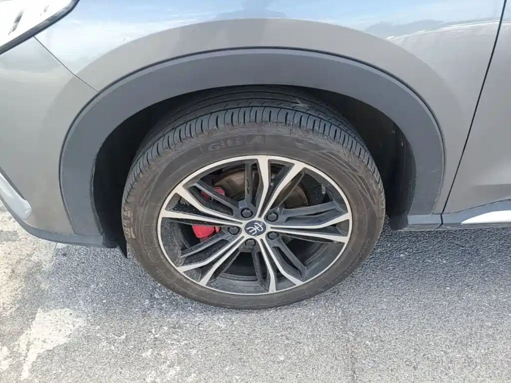 BYD PLUS — миниатюра 23