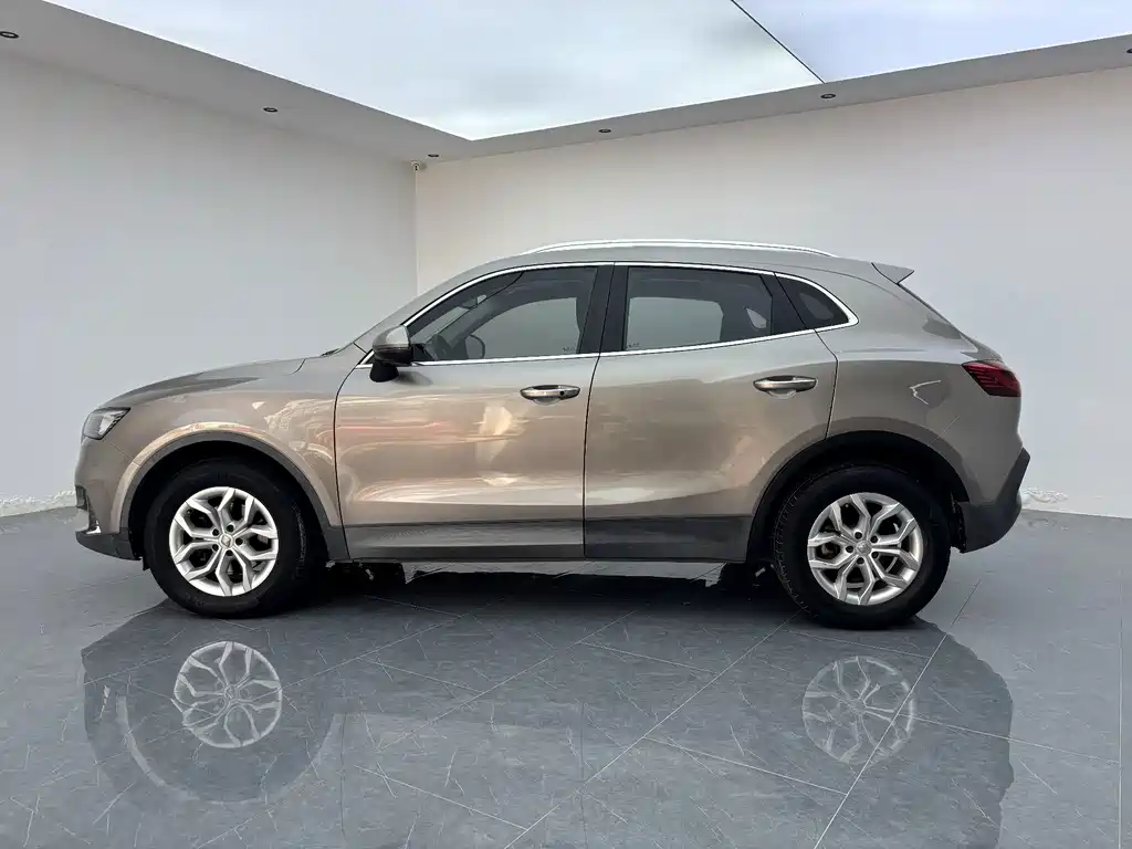Borgward BX5 — миниатюра 2