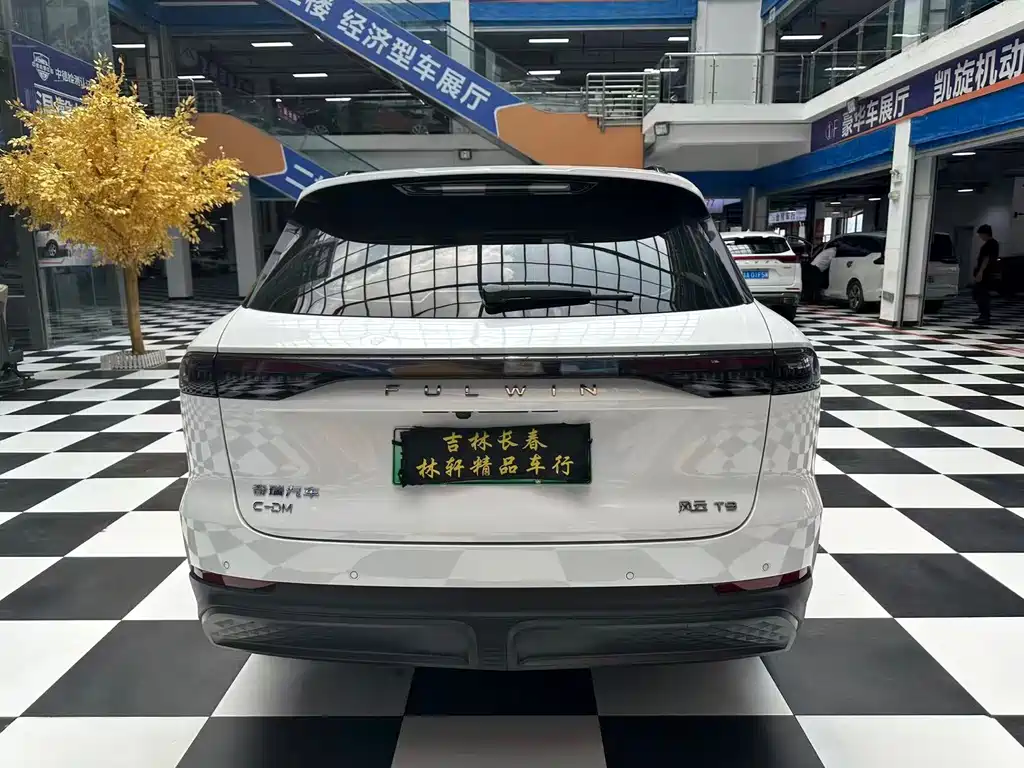 Fulwin Fengyun T9 — миниатюра 16