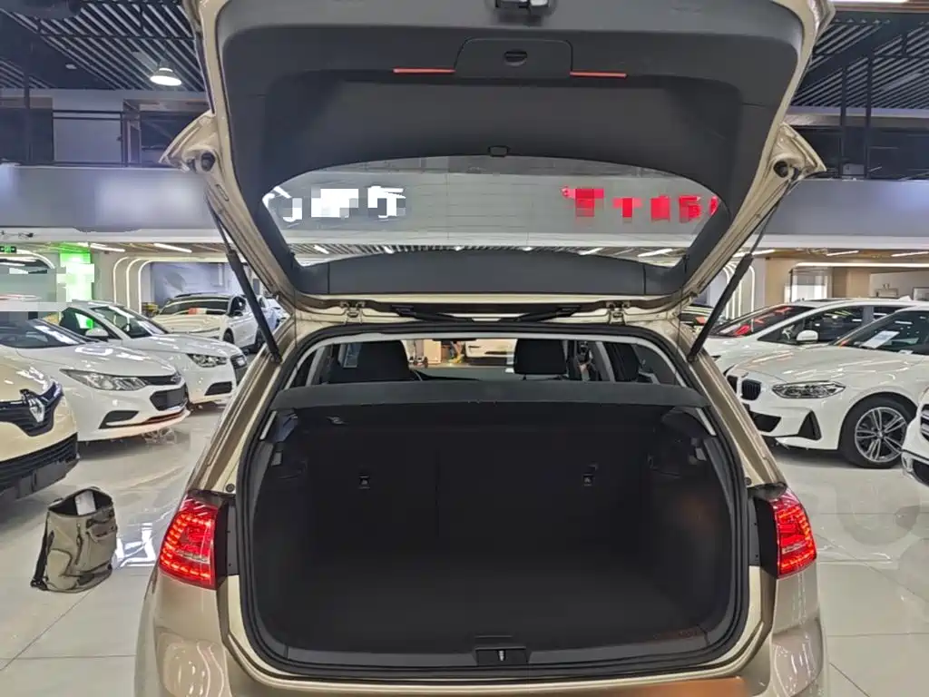 Volkswagen Golf — миниатюра 19