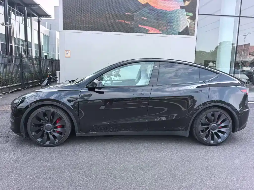 Tesla Model Y — миниатюра 7