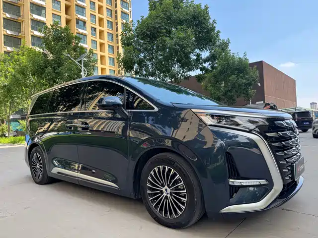 2024 Denza D9