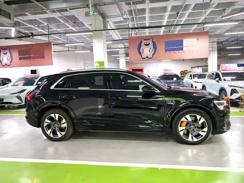 Audi e-tron (Import) — миниатюра 7