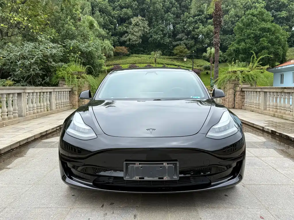 Tesla Model 3 — миниатюра 2
