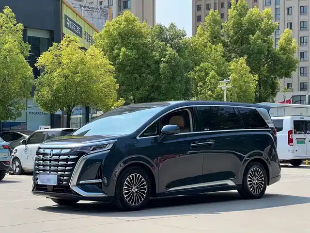 2023 Denza D9