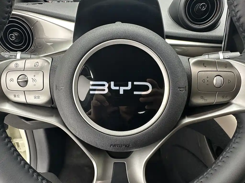 BYD Dolphin — миниатюра 14