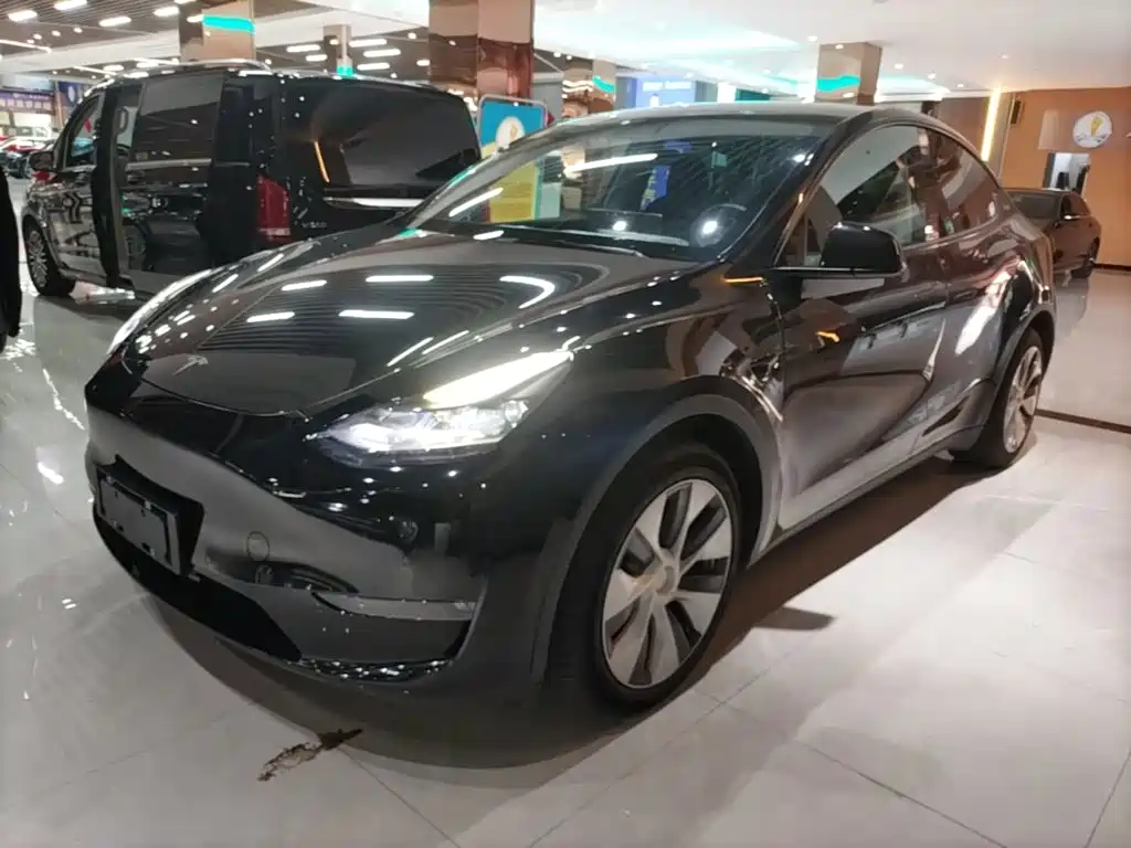 Tesla Model Y — миниатюра 2