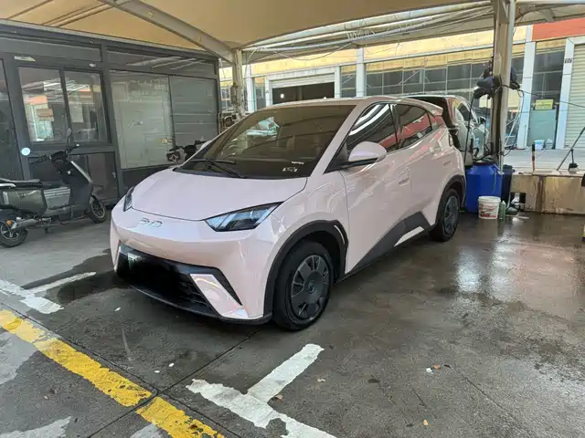 2025 BYD Seagull