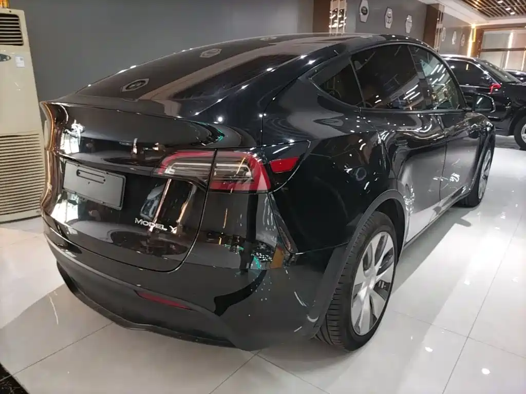 Tesla Model Y — миниатюра 7
