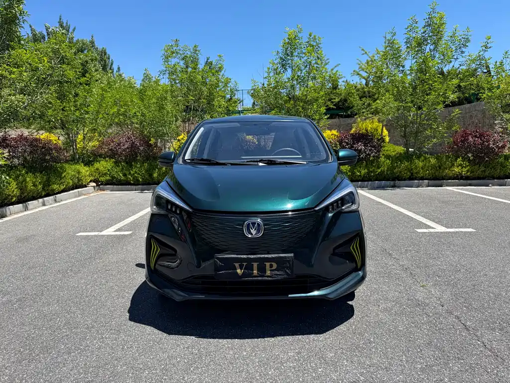 2022 Changan Benni EC/EV - zdjęcie 1 z 25