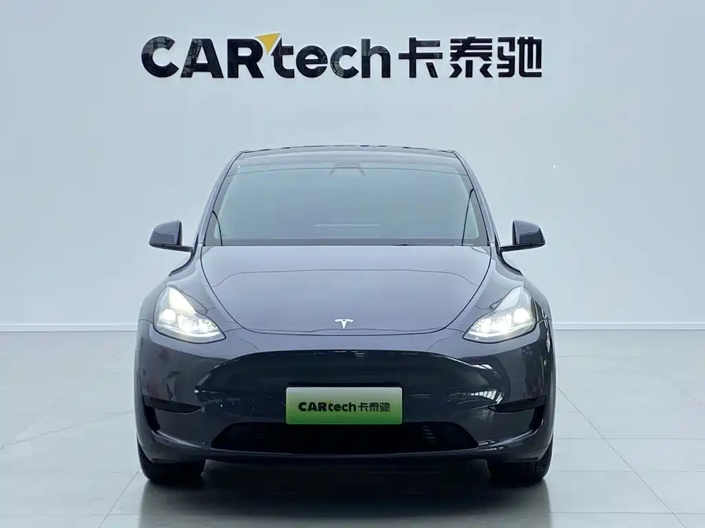 Tesla Model Y — миниатюра 2