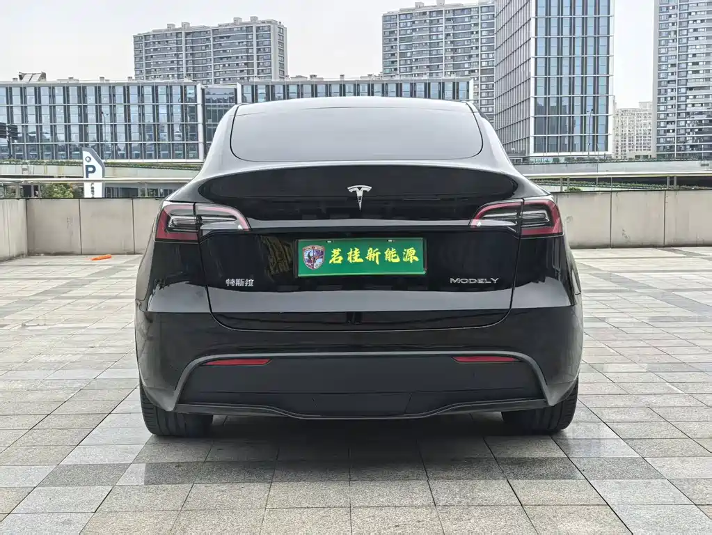 Tesla Model Y — миниатюра 15