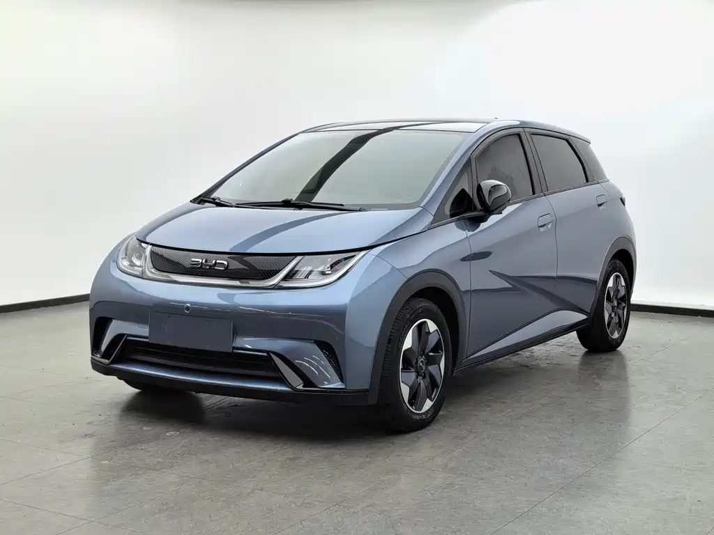 BYD Dolphin 2024 420km Fashion