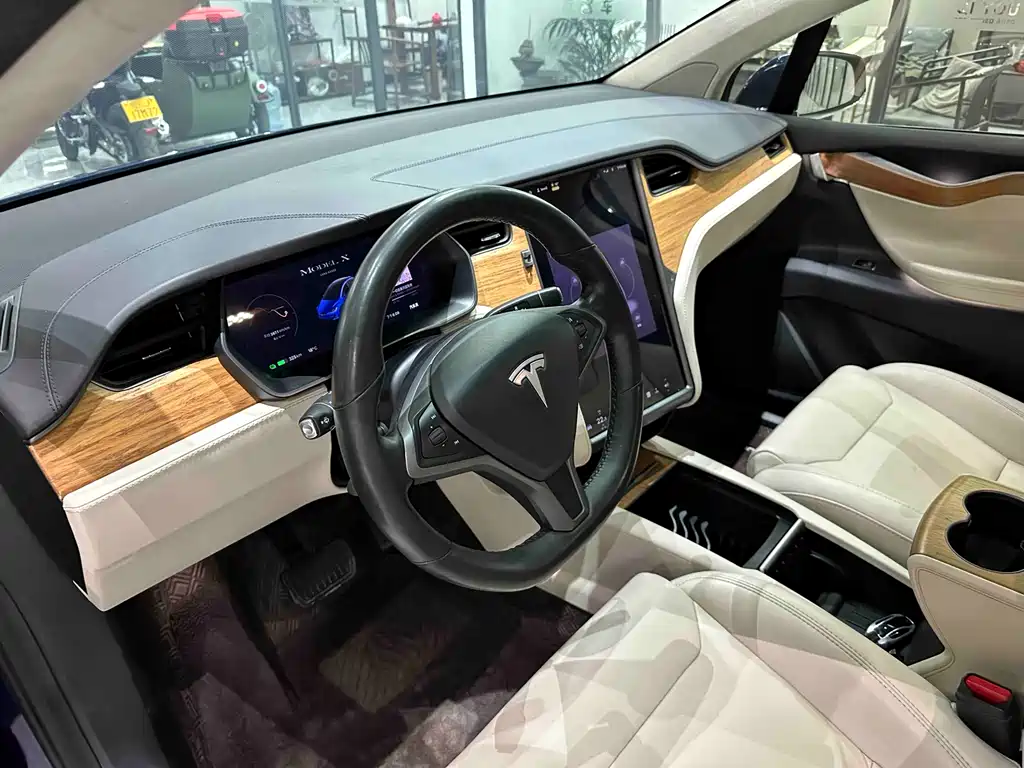 TESLA MODEL X