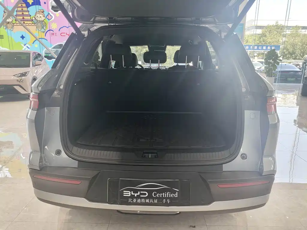 BYD Pro New Energy — миниатюра 16