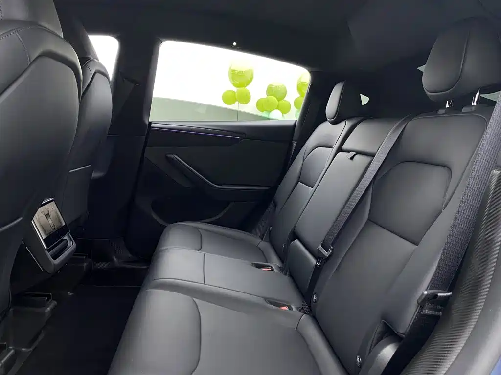 Tesla Model Y — миниатюра 30