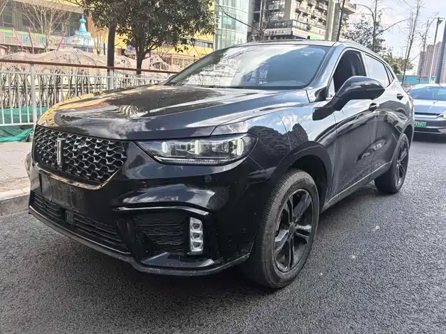 WEI PAI WEI BRAND VV5 2020