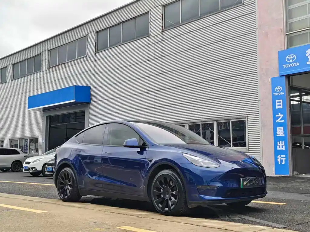 Tesla Model Y — миниатюра 3