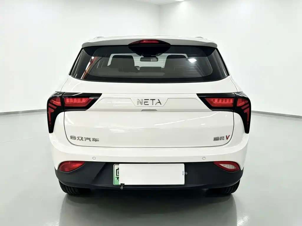 Neta Neta V — миниатюра 8