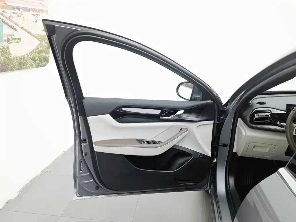 BYD Qin Plus PLUS 2024 DM-i 55KM Lead