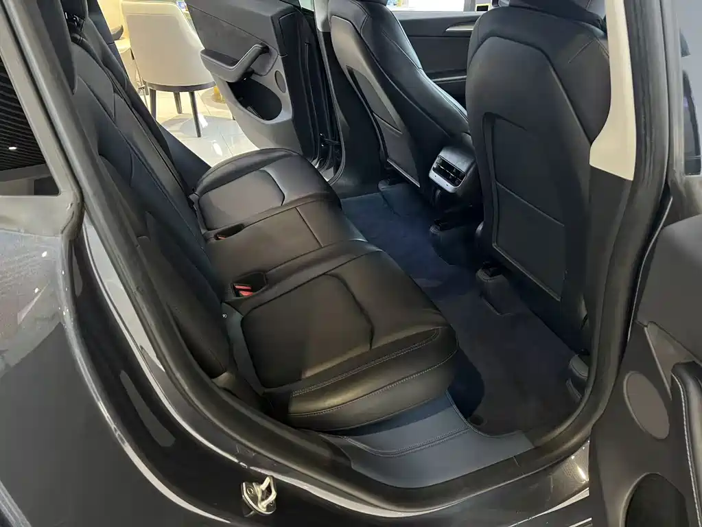 Tesla Model Y — миниатюра 5