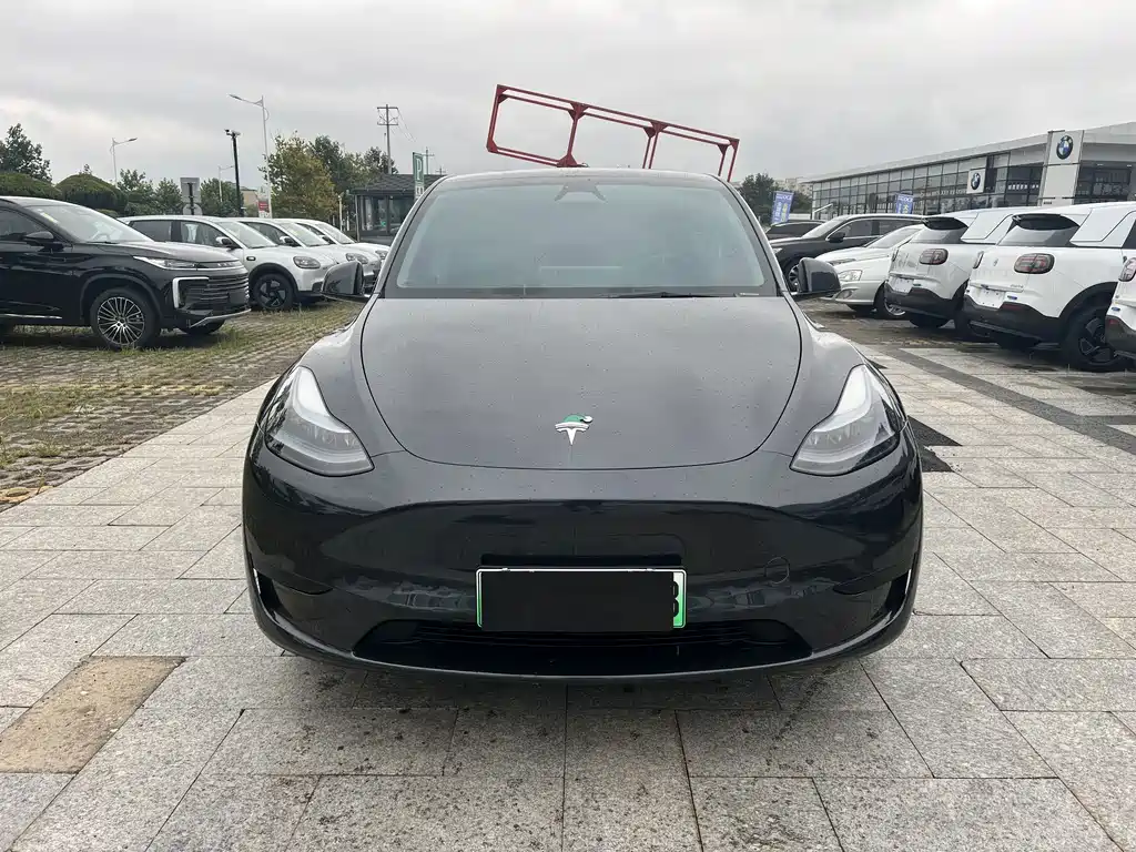 Tesla Model Y — миниатюра 2