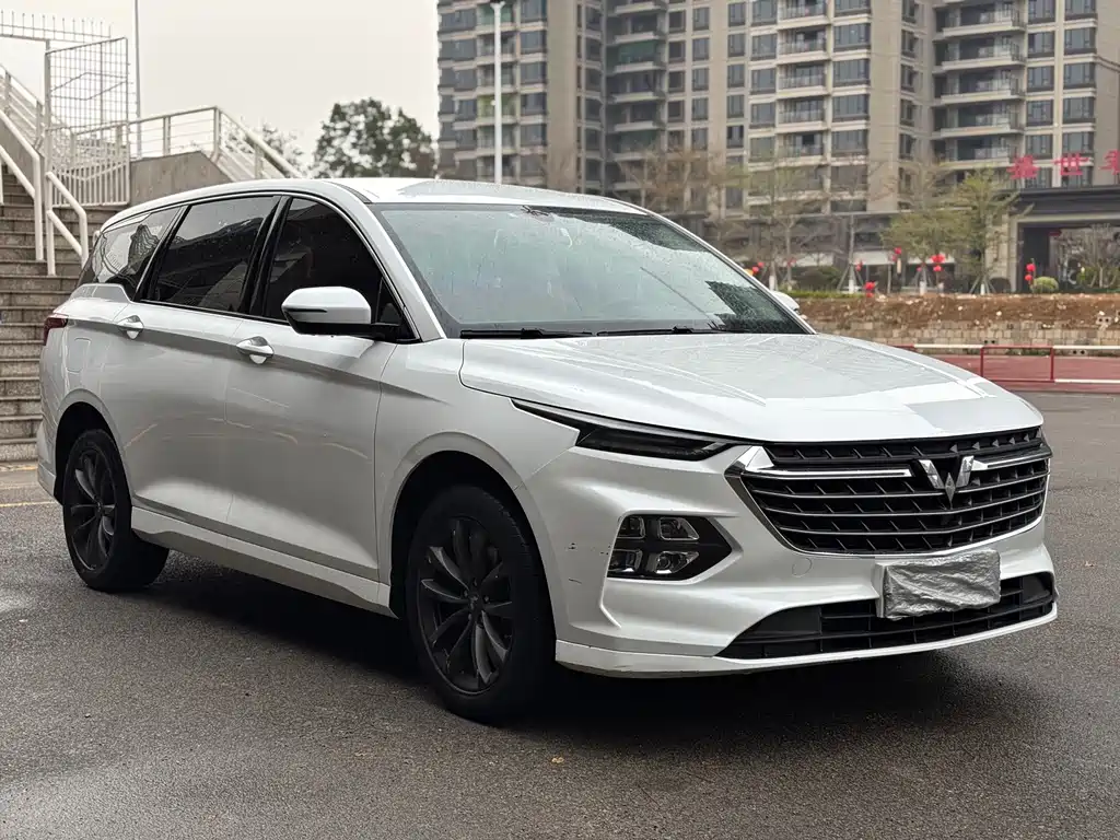 WULING WULING CAPGEMINI