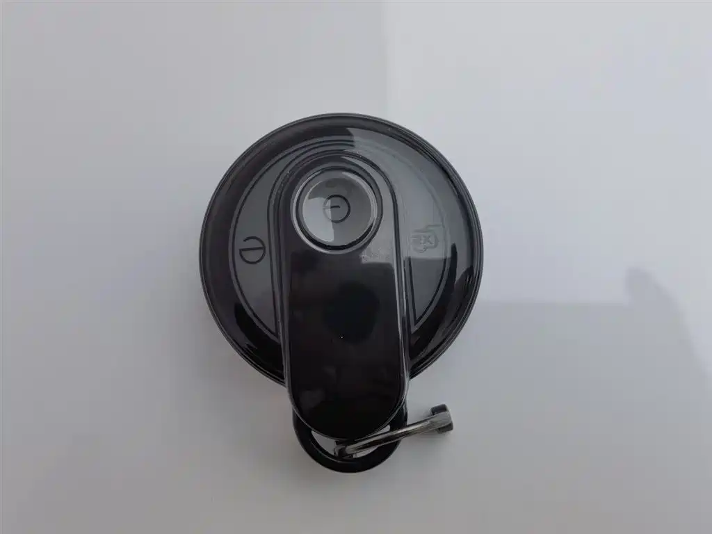 BESTUNE PENTIUM PONY