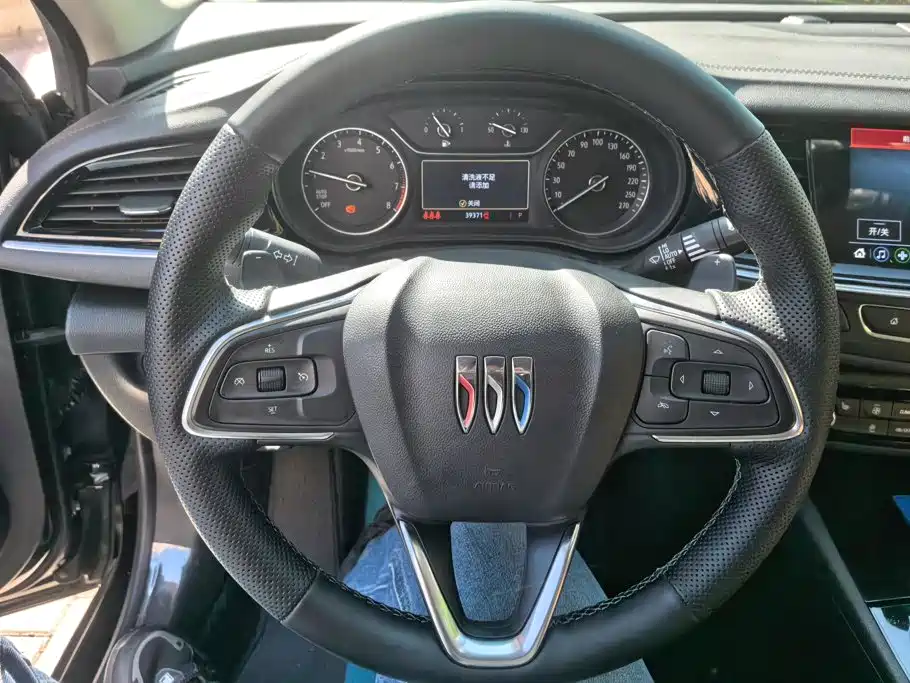 Buick Regal — миниатюра 15