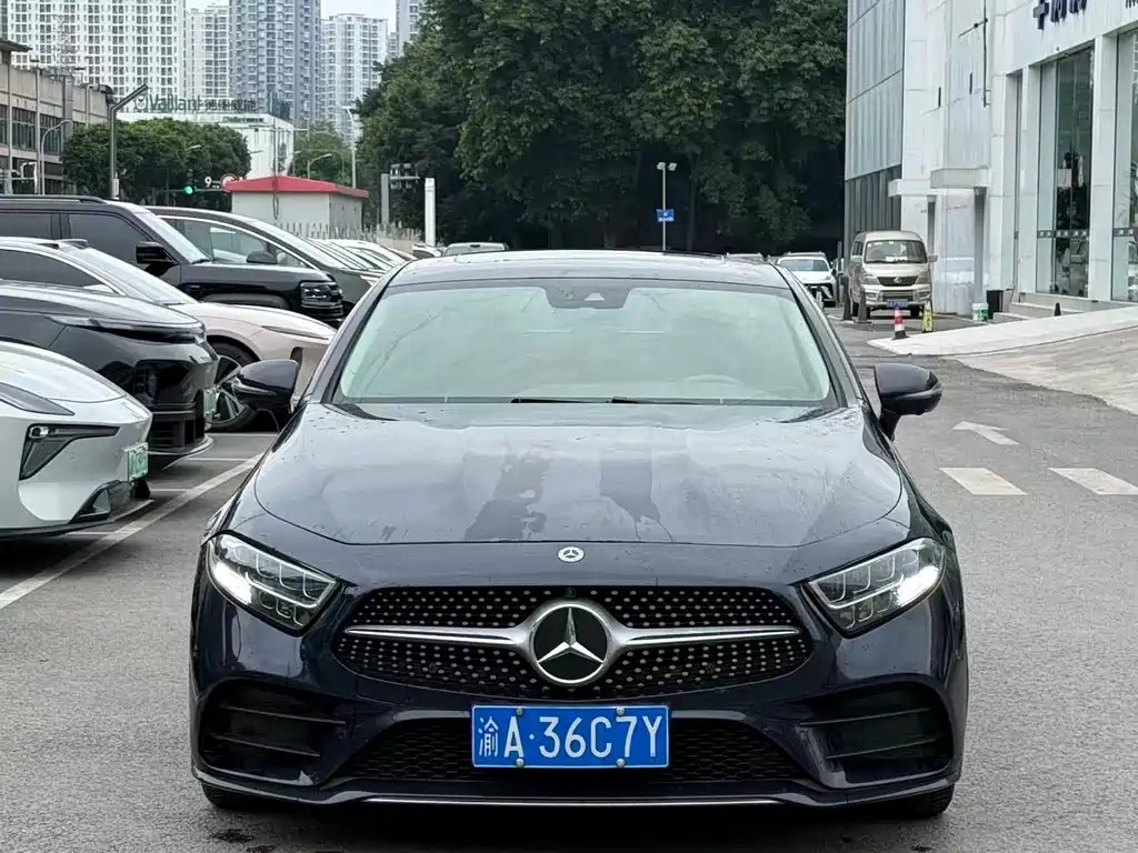 Mercedes-Benz CLS CLS 300 Luxury Type, фото 2