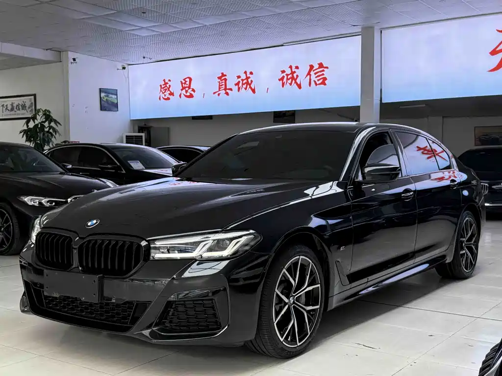 BMW 5 Series — миниатюра 20
