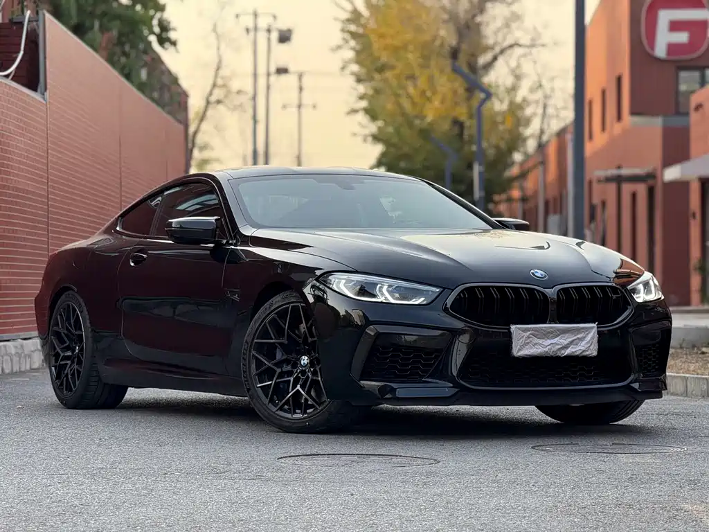 BMW M8