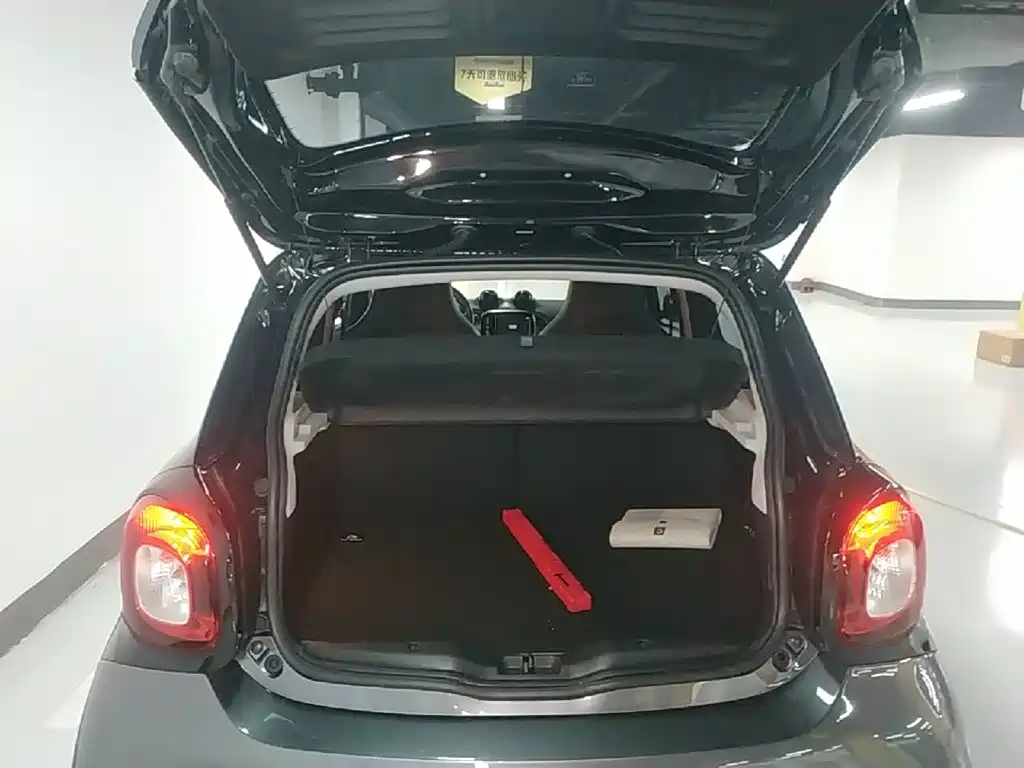 smart Smart Forfour — миниатюра 19