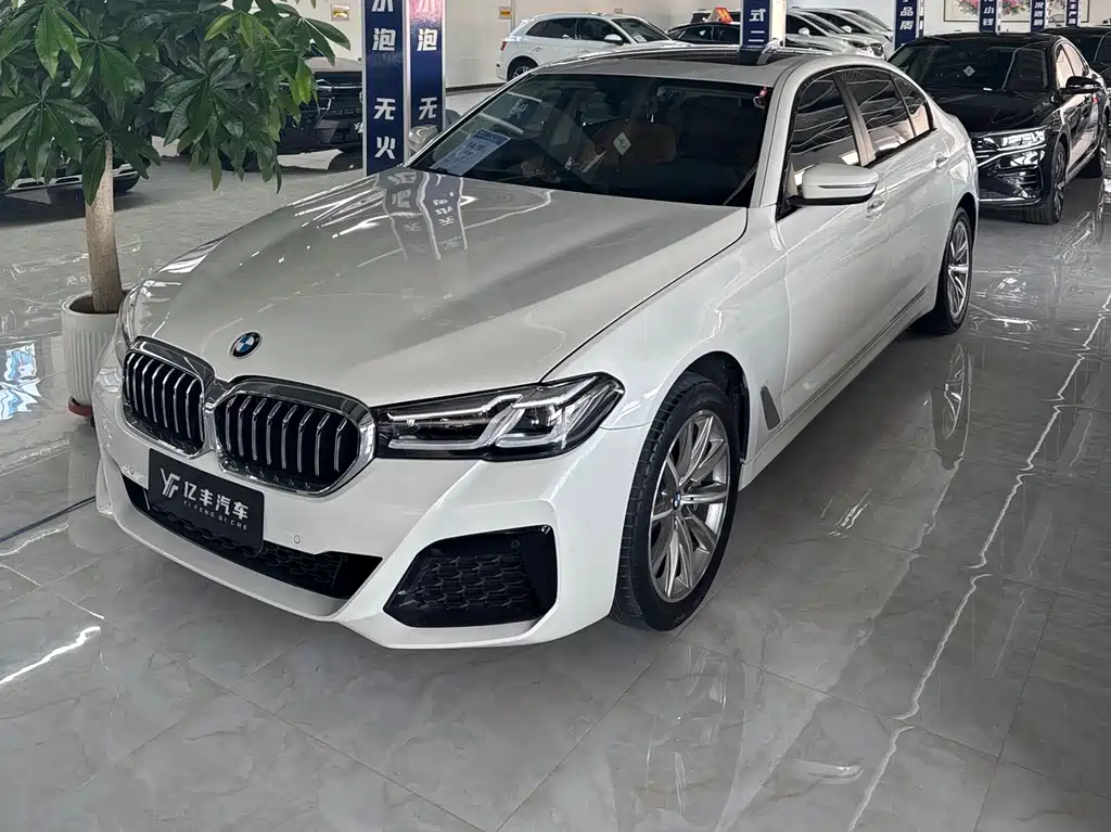 BMW 5 Series 2017