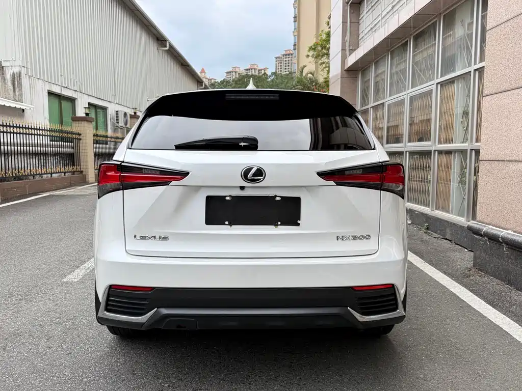 LEXUS NX